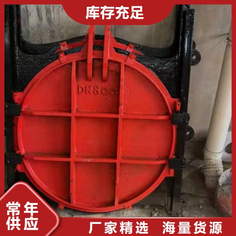 铸铁闸门品质商家
