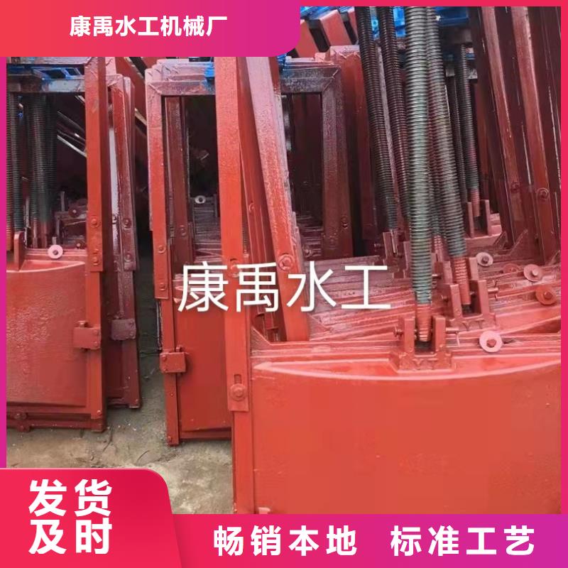 铸铁闸门服务周到