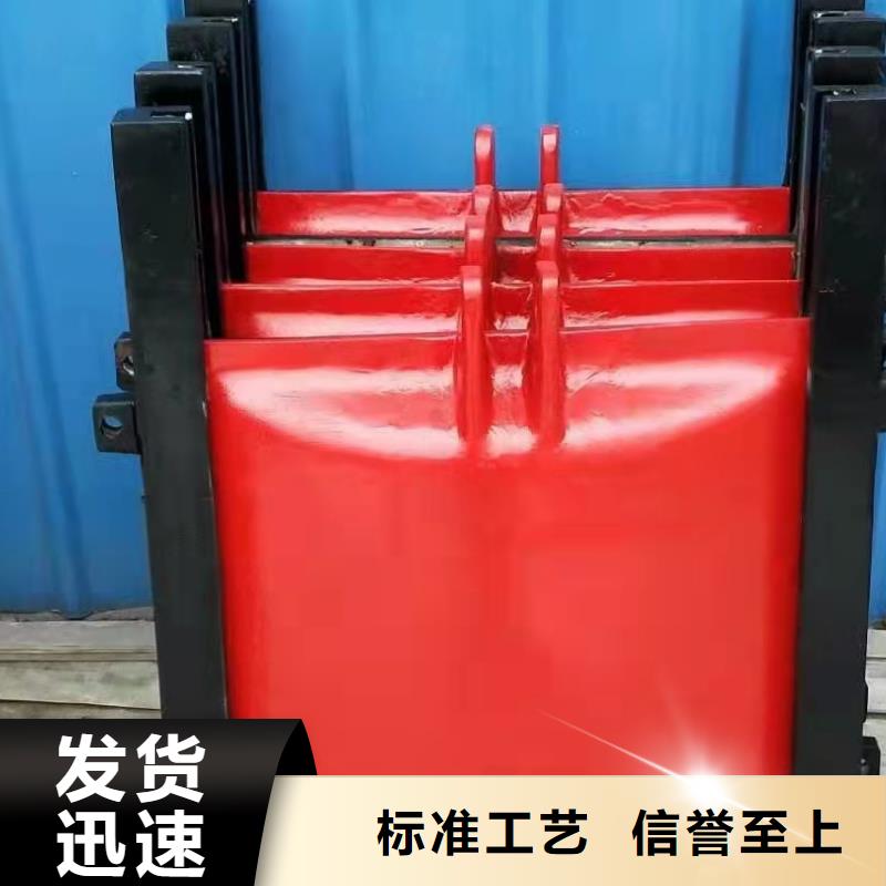 铸铁闸门精心