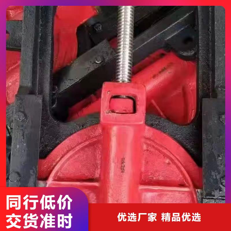 铸铁闸门诚信厂家