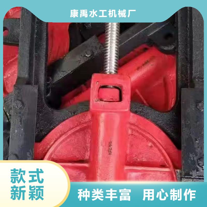 铸铁闸门品种全