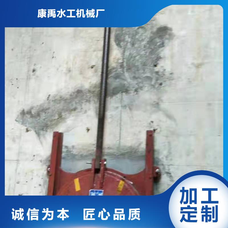 铸铁闸门重信誉厂家