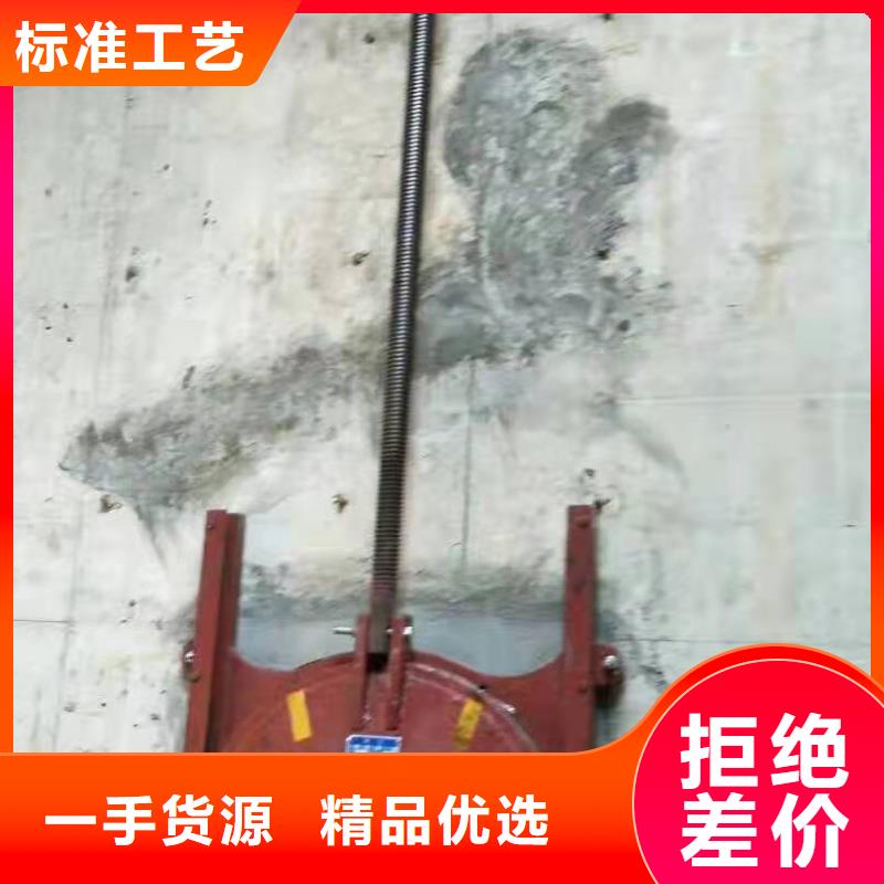 【铸铁闸门启闭机闸门厂家产地批发】