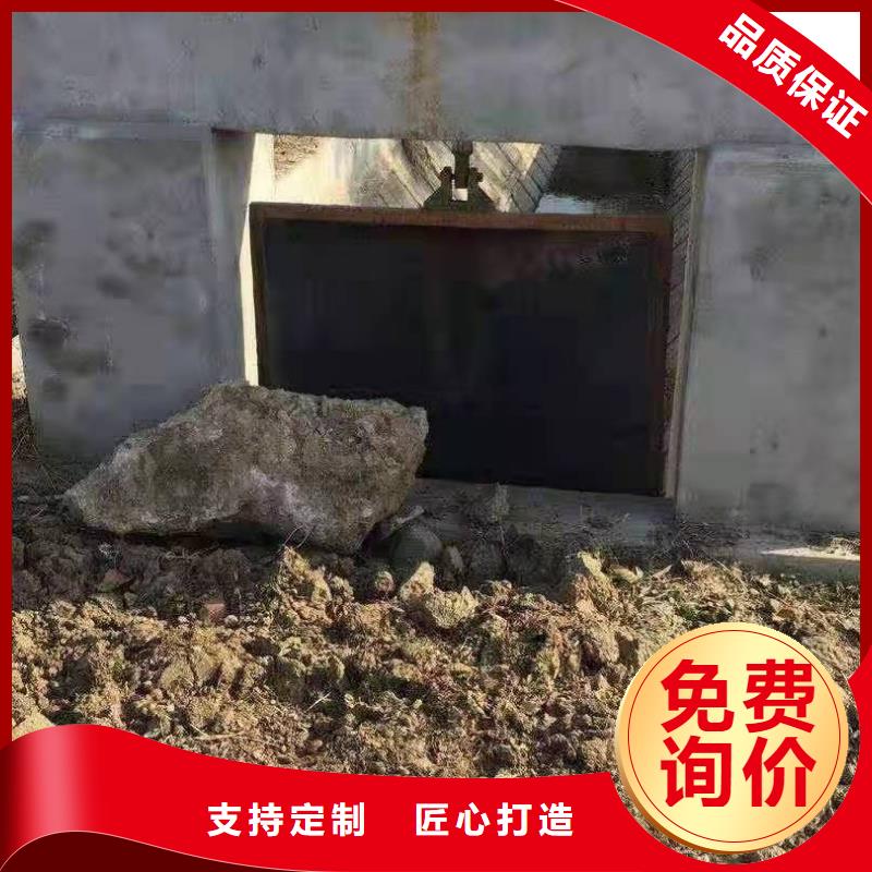 铸铁闸门 卷扬式启闭机厂家应用范围广泛