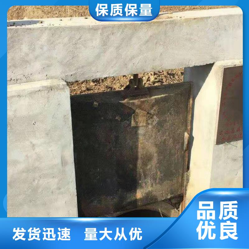 铸铁闸门信誉有保证