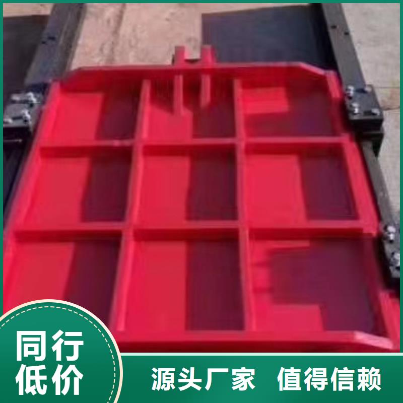 铸铁闸门专业品质