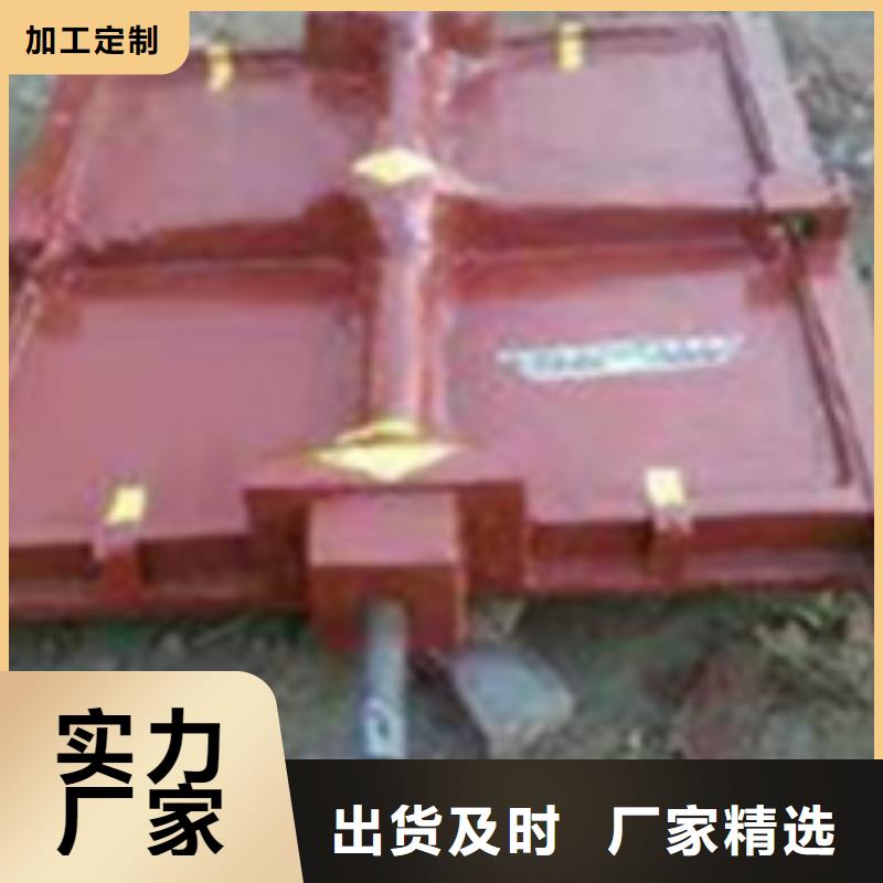 铸铁闸门清污机低价货源