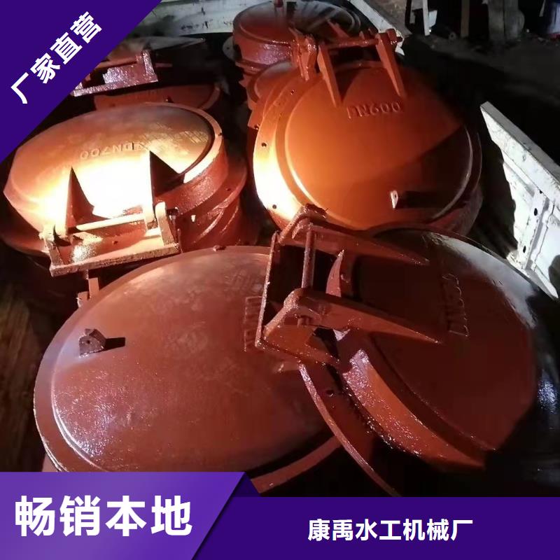 铸铁闸门服务周到