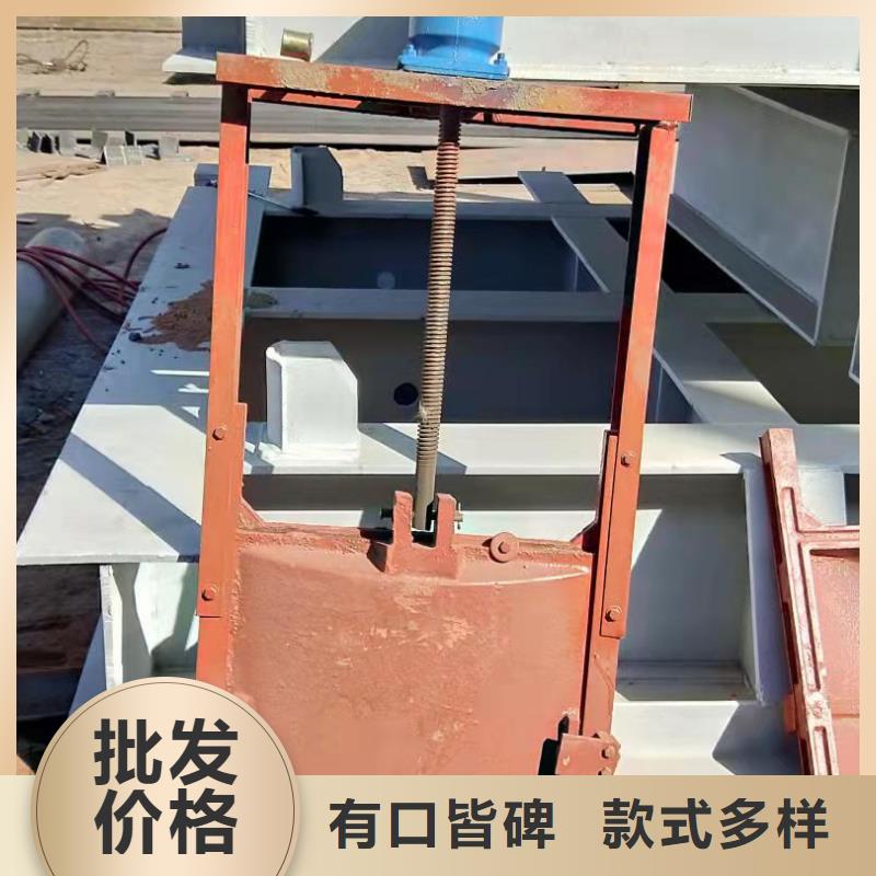 铸铁闸门信誉有保证