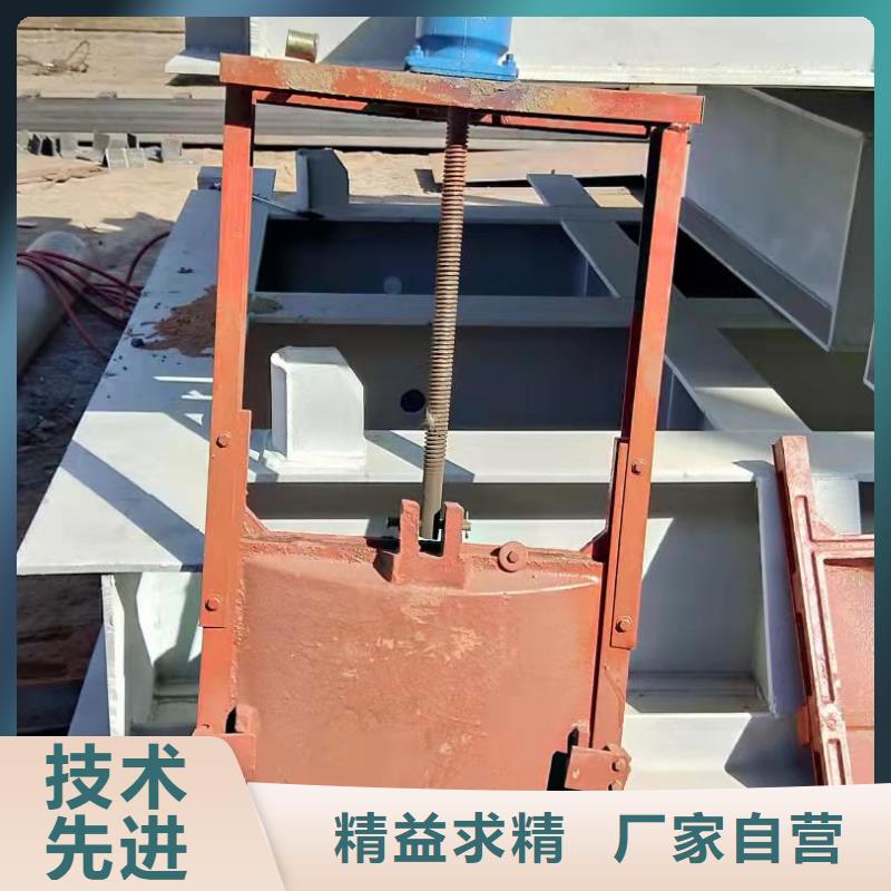 铸铁闸门发货迅速