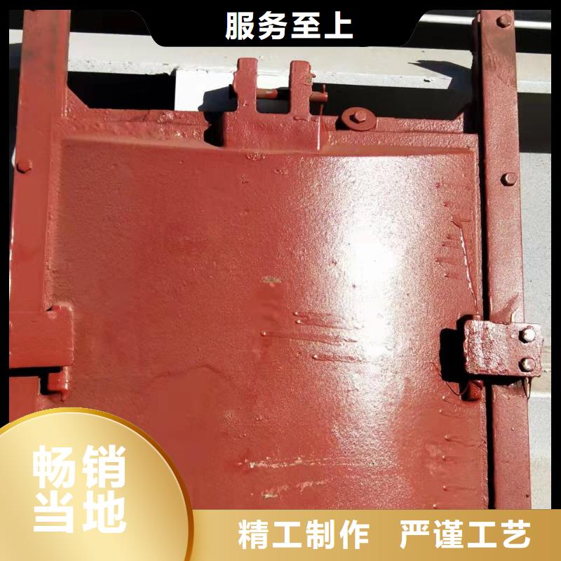 扇形闸门源头生产厂家