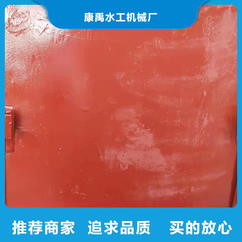 诚信为本手提铸铁闸门厂家