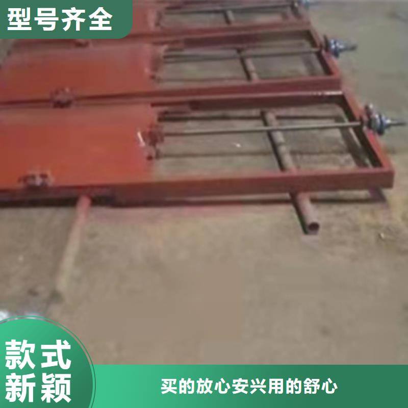 铸铁闸门经验丰富质量放心