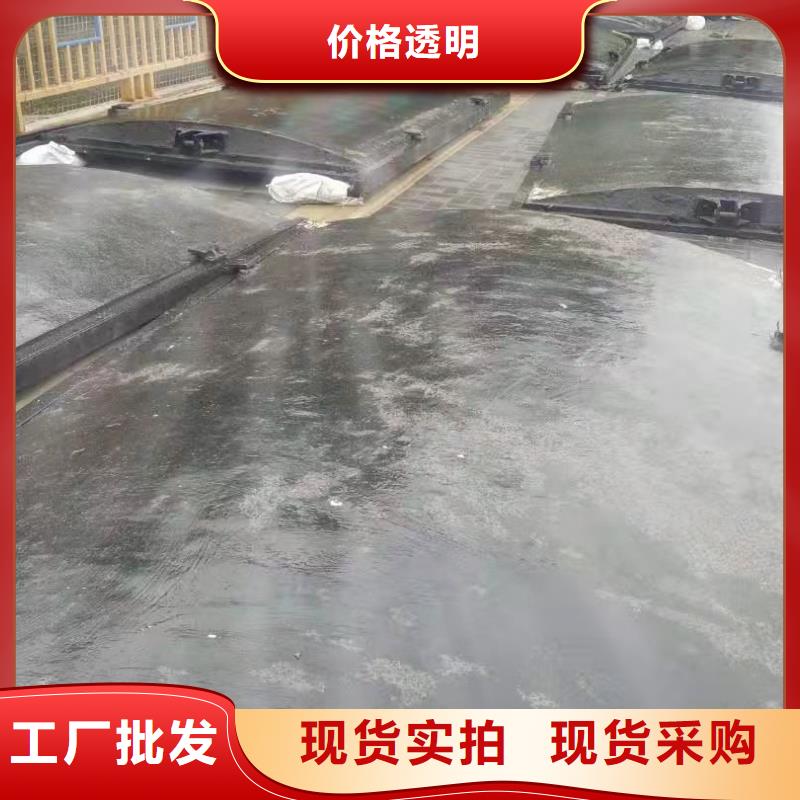 铸铁闸门,球墨铸铁闸门值得信赖