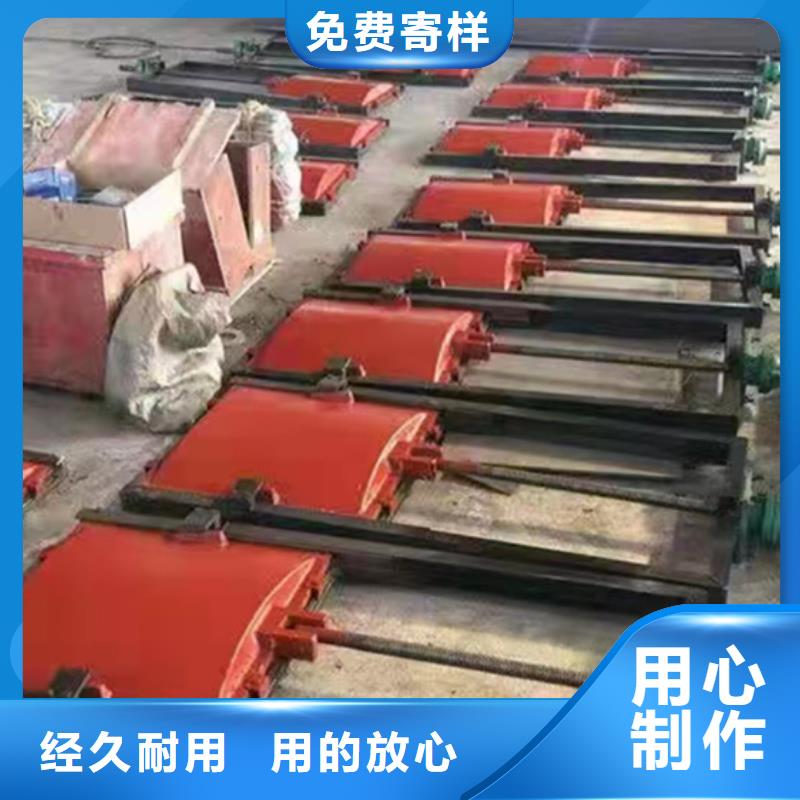 铸铁闸门品种全