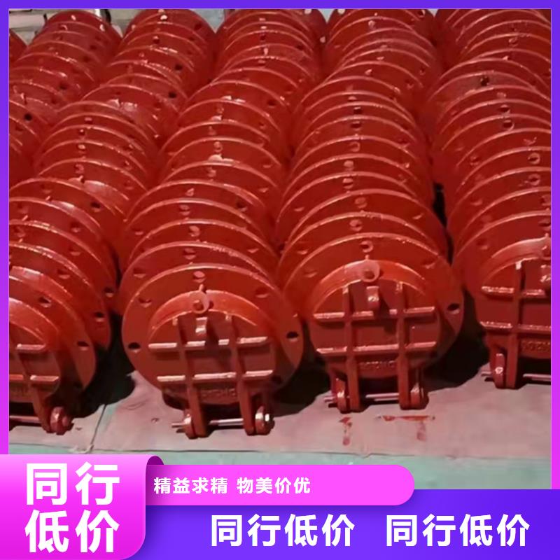  铸铁闸门用心服务