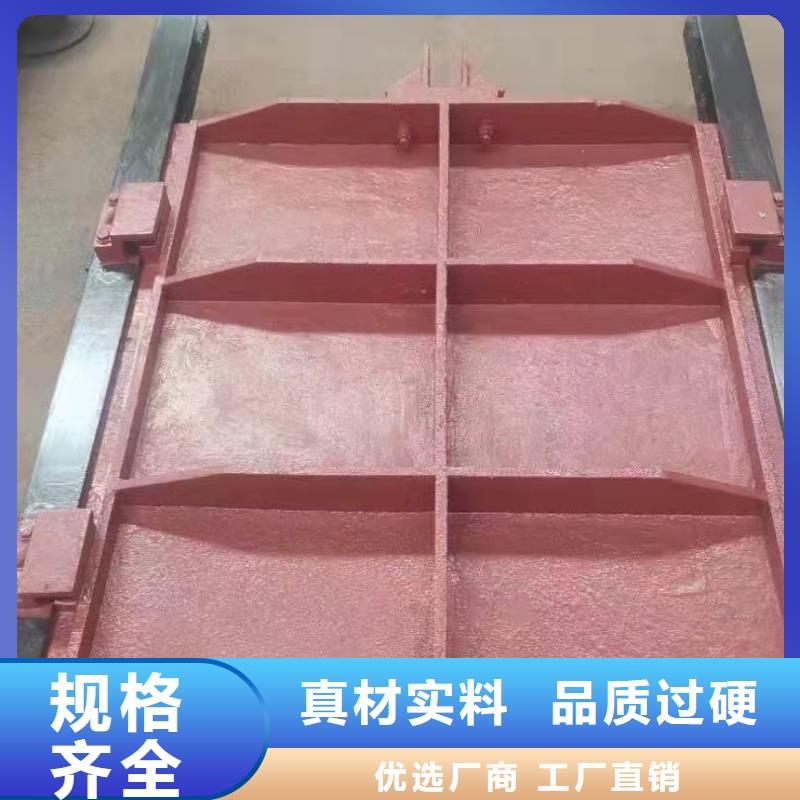 铸铁闸门物美价优