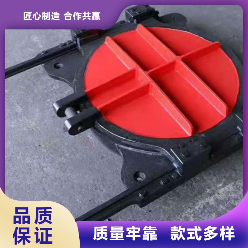 铸铁闸门精心
