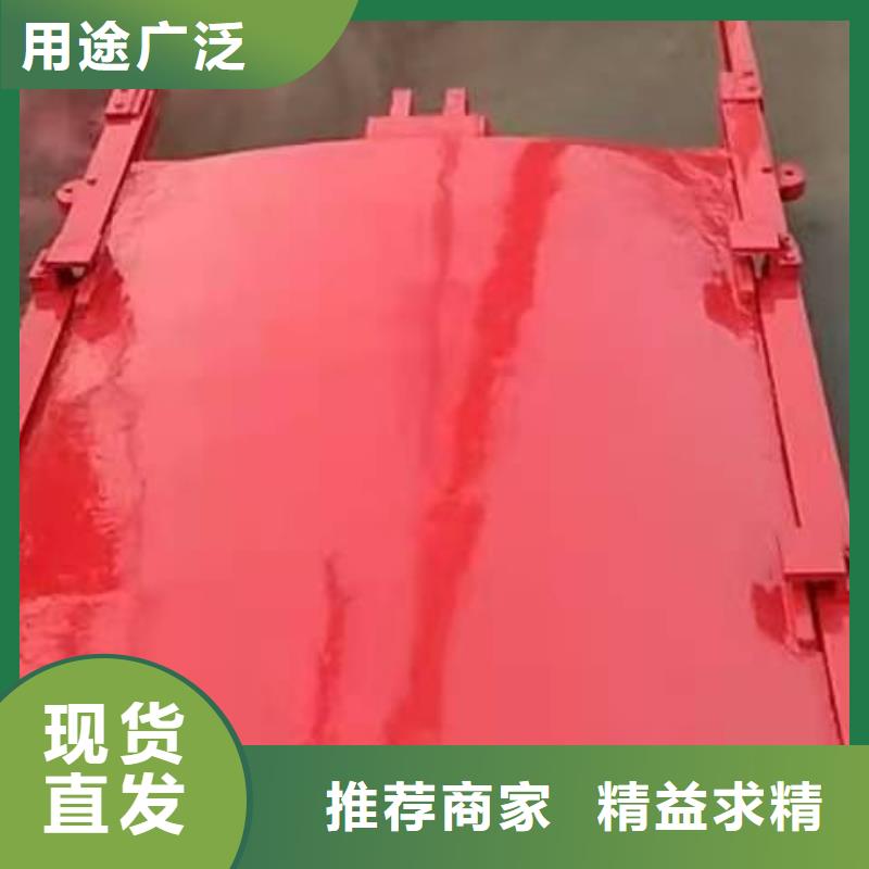 铸铁闸门 卷闸门按需定做