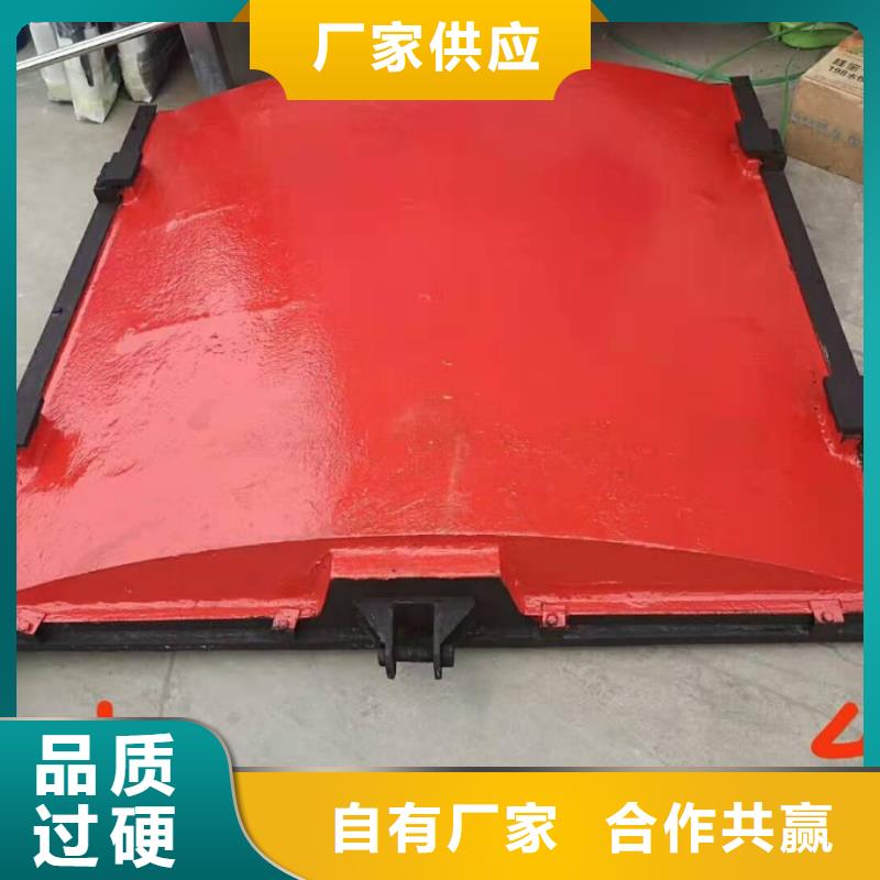 铸铁闸门-卷闸门质优价廉