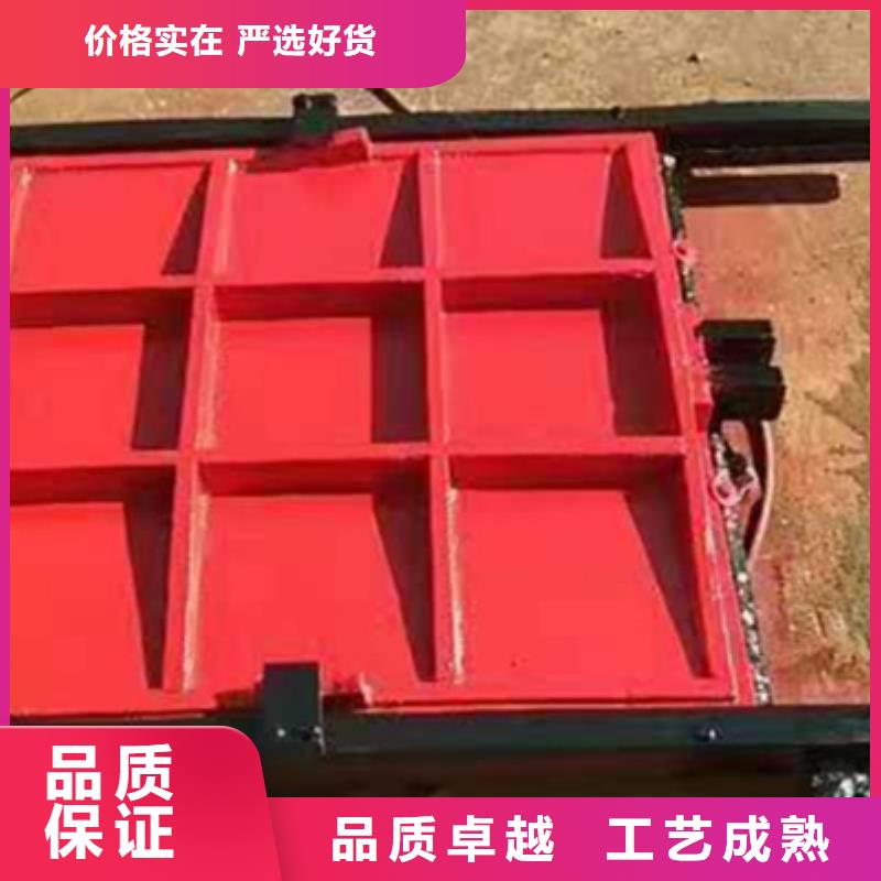 铸铁闸门专业品质