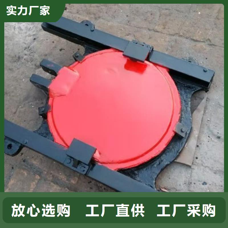 扇形闸门源头生产厂家