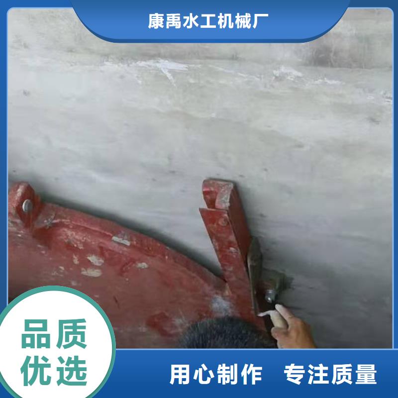 铸铁闸门 污水除污机源头厂家量大价优