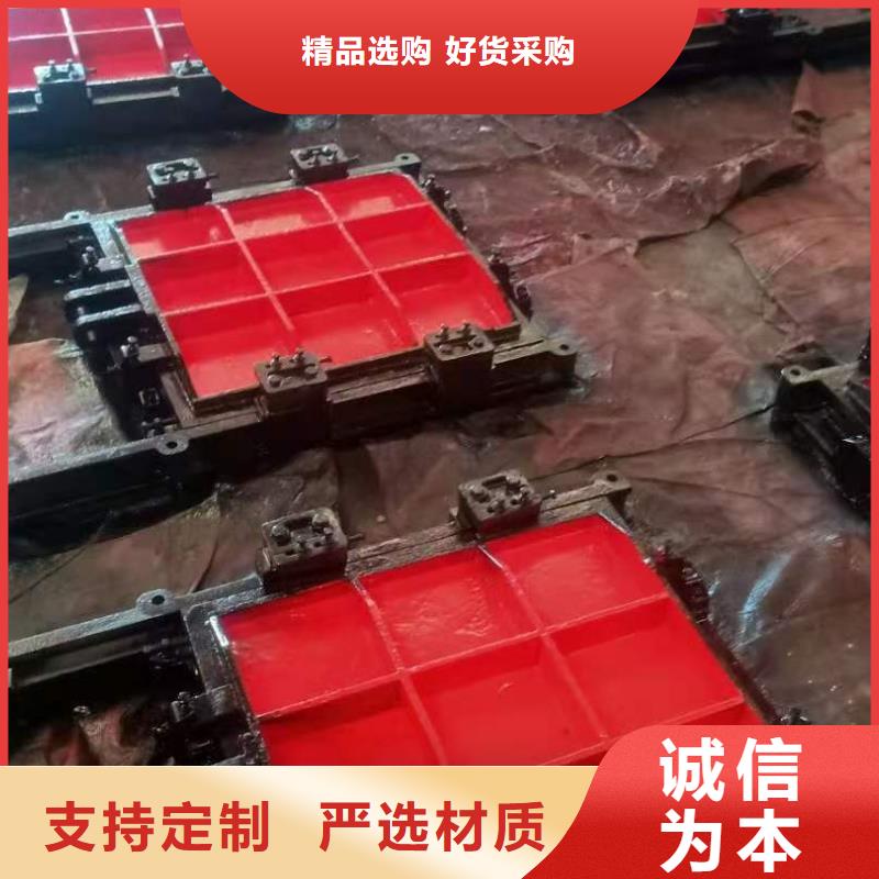 铸铁闸门服务周到