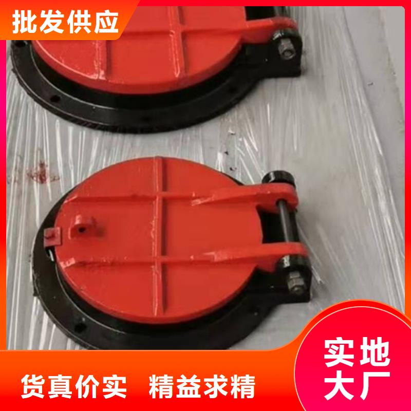 铸铁闸门好品质用的放心