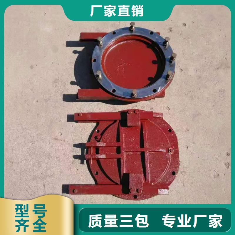 铸铁闸门精心