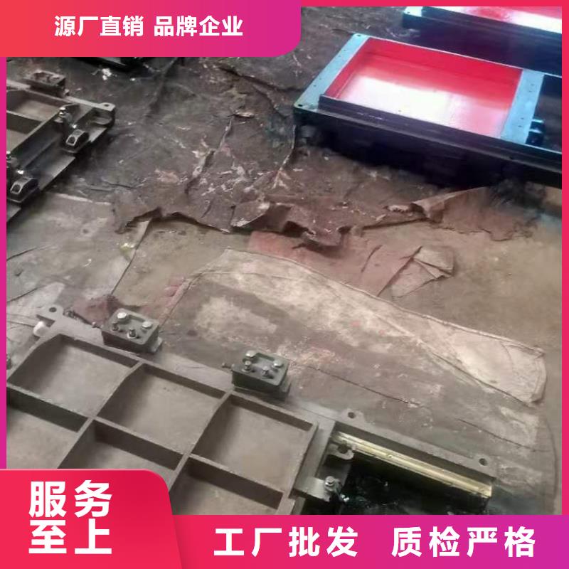 铸铁闸门 污水除污机源头厂家量大价优