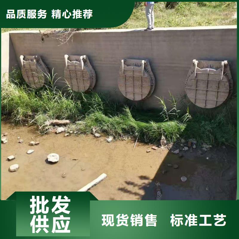 铸铁闸门 卷扬式启闭机厂家应用范围广泛