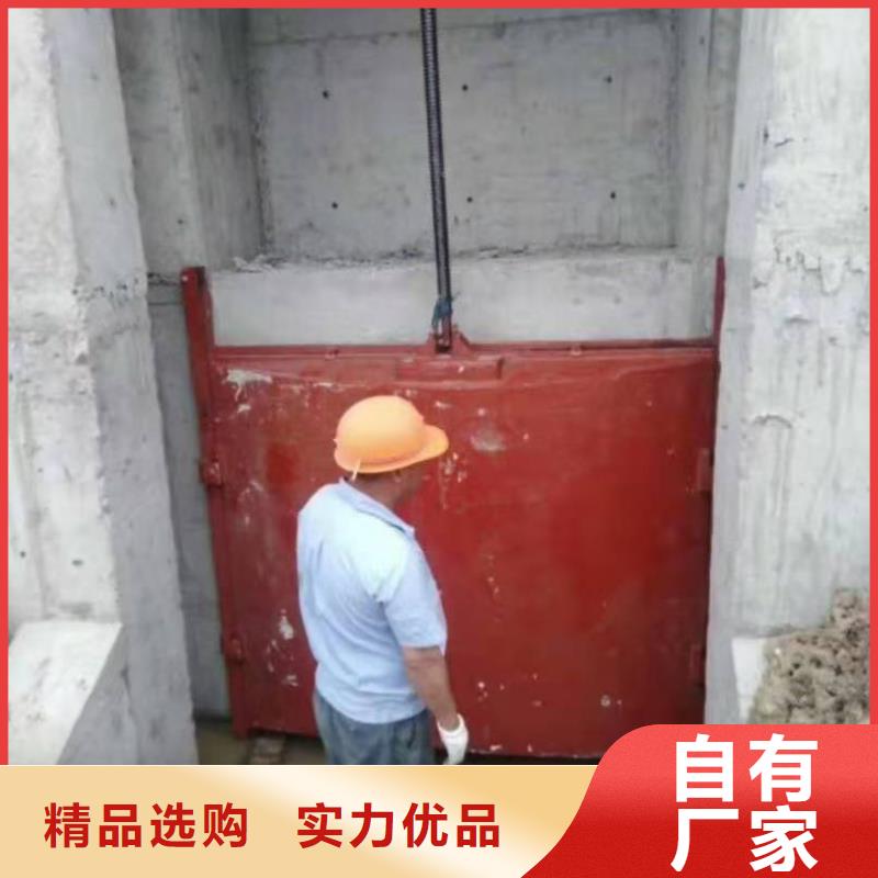 铸铁闸门精心