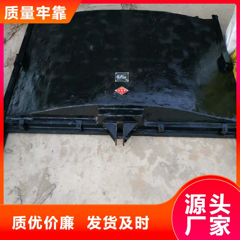 铸铁闸门高品质现货销售