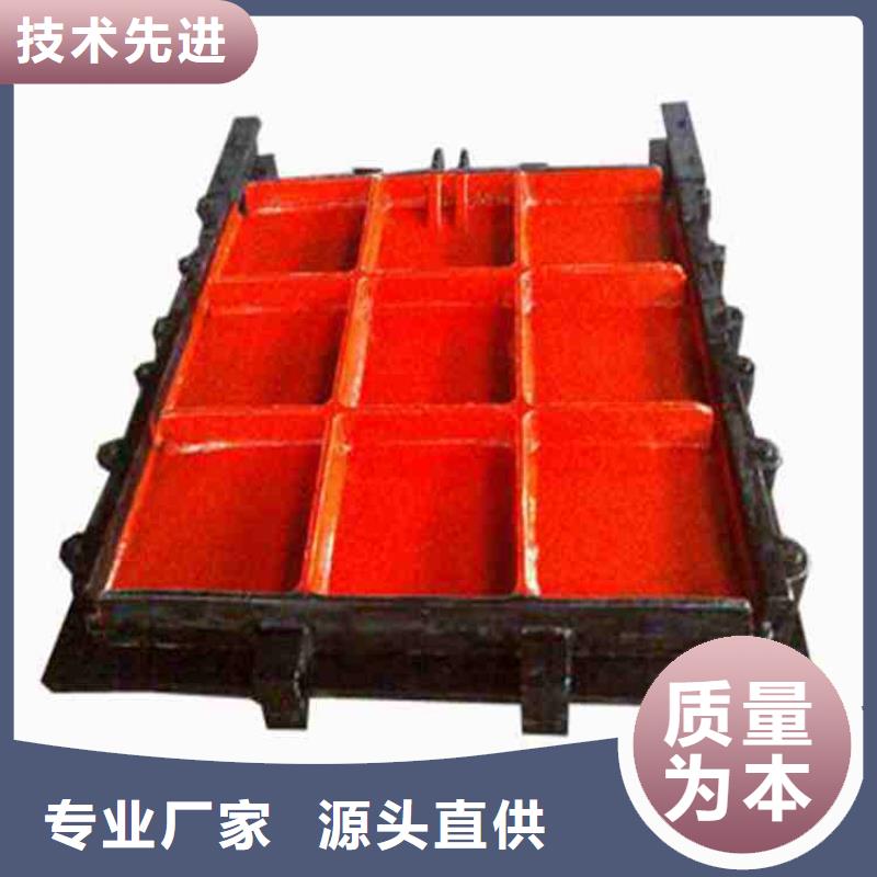 铸铁闸门-卷闸门质优价廉