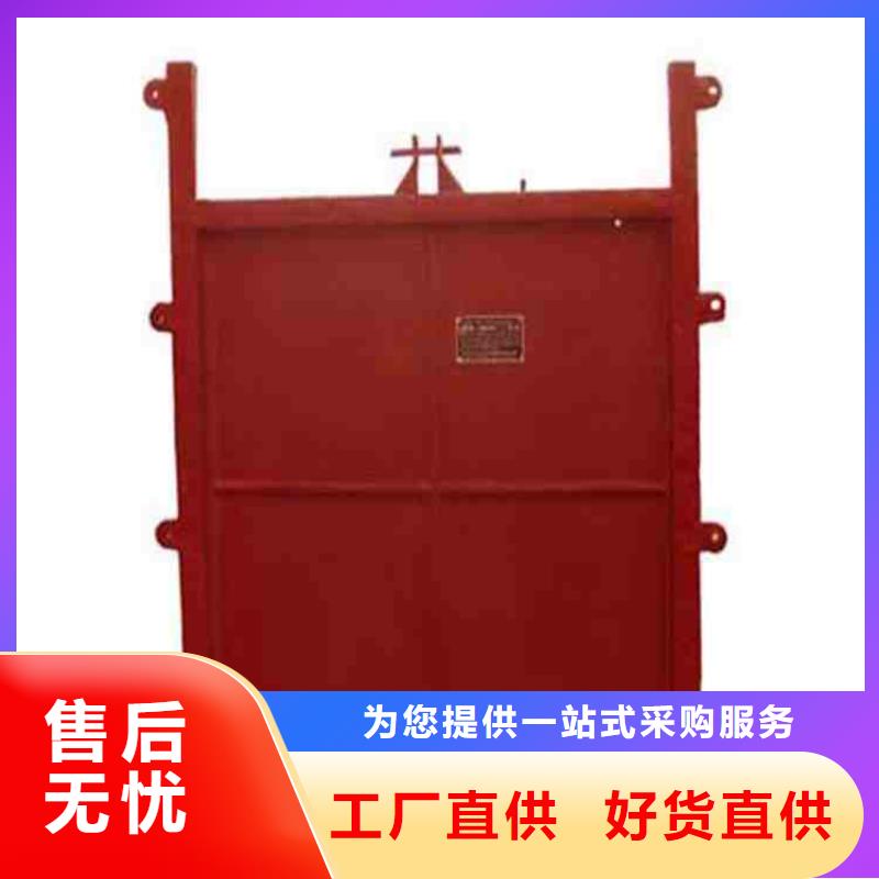 诚信为本手提铸铁闸门厂家