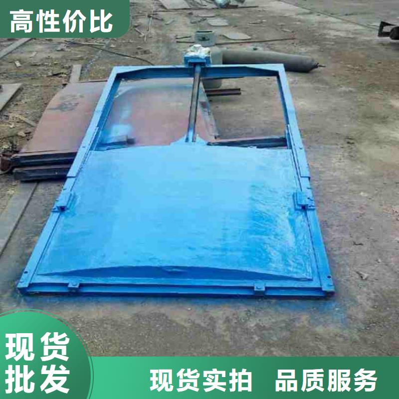 扇形闸门可定制