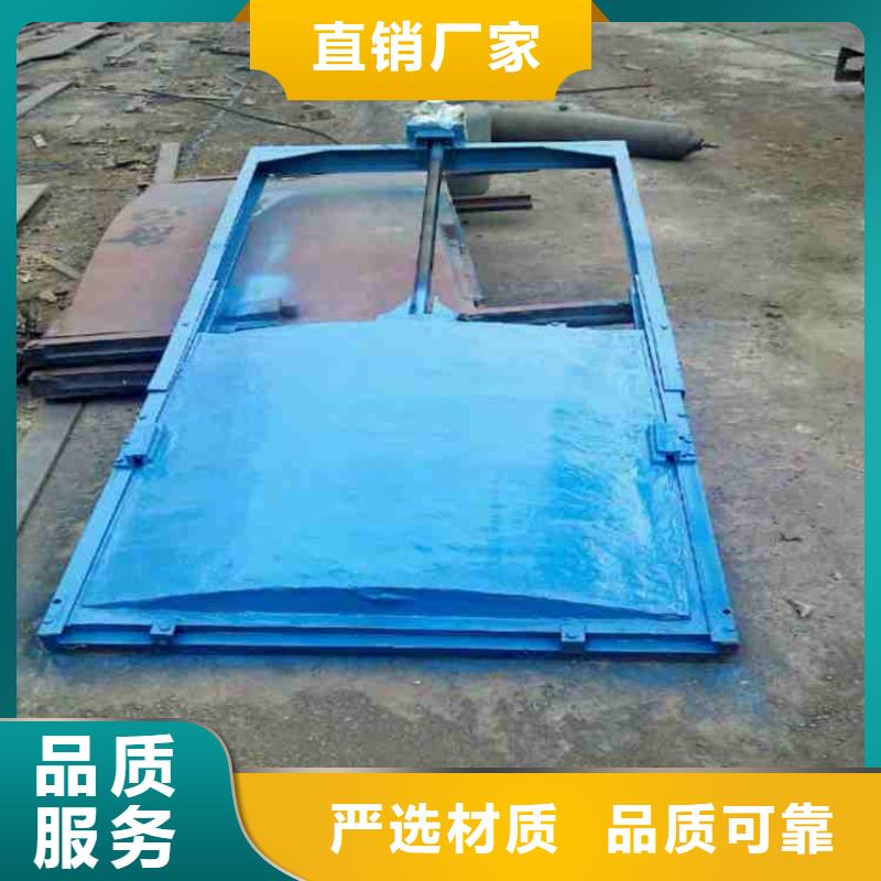 扇形闸门源头生产厂家