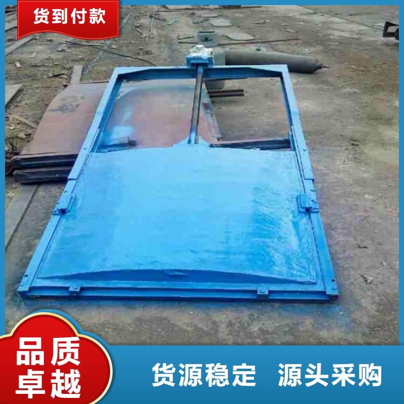 【铸铁闸门_卷扬启闭机敢与同行比服务】