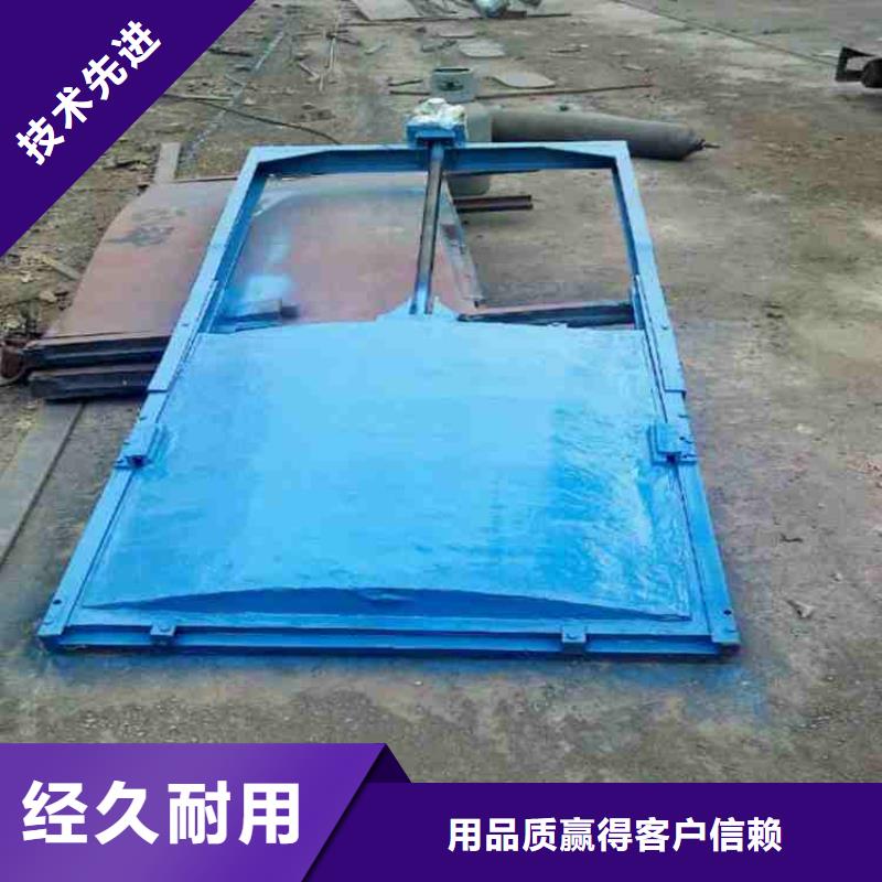 铸铁闸门物美价优