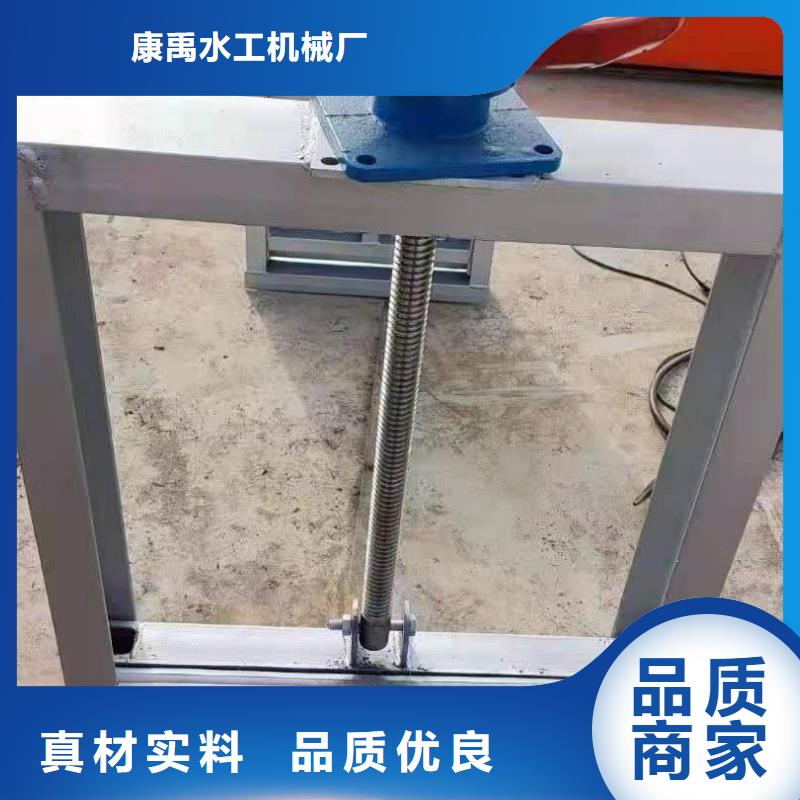钢闸门来图加工定制