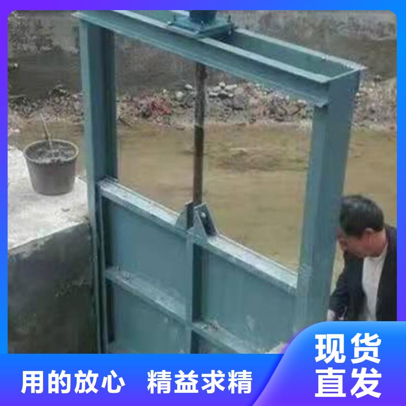 钢闸门的简单介绍