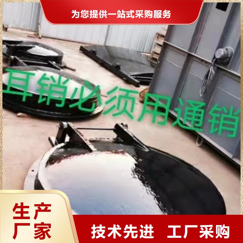  钢闸门一站式供应厂家