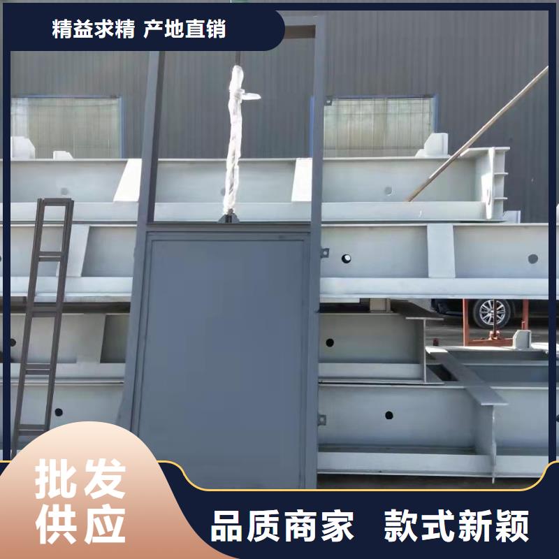  钢闸门随心所欲定制