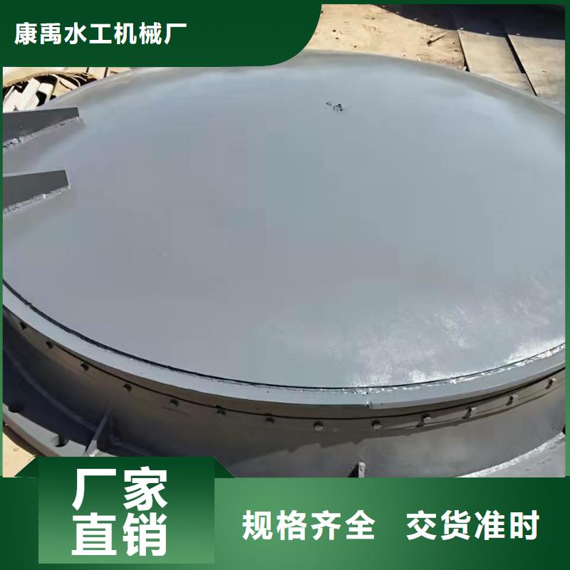 钢闸门厂家定制