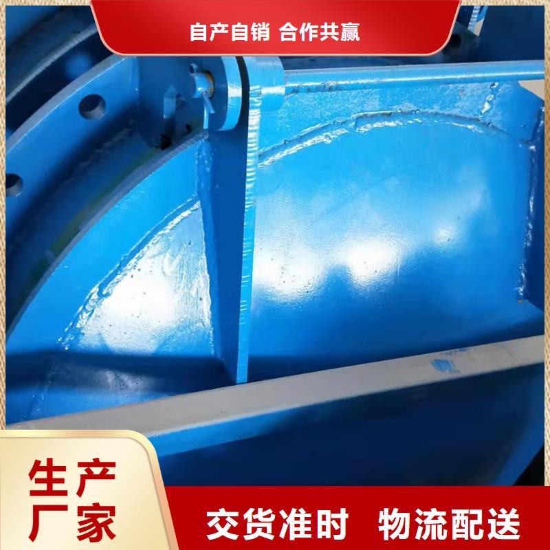 钢闸门厂家直销省心省钱