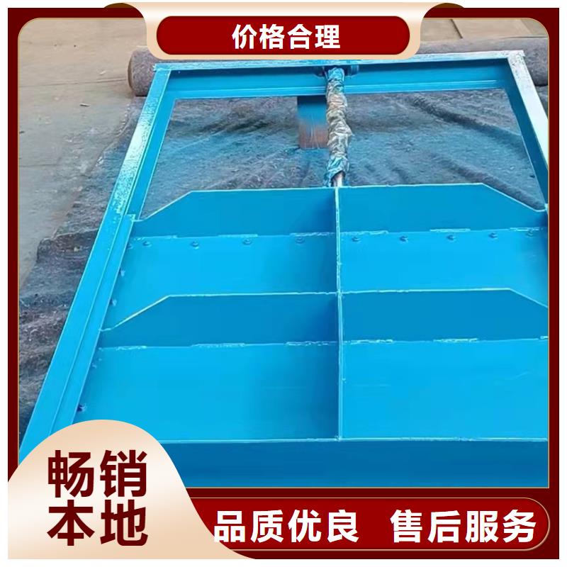 钢闸门款式新颖
