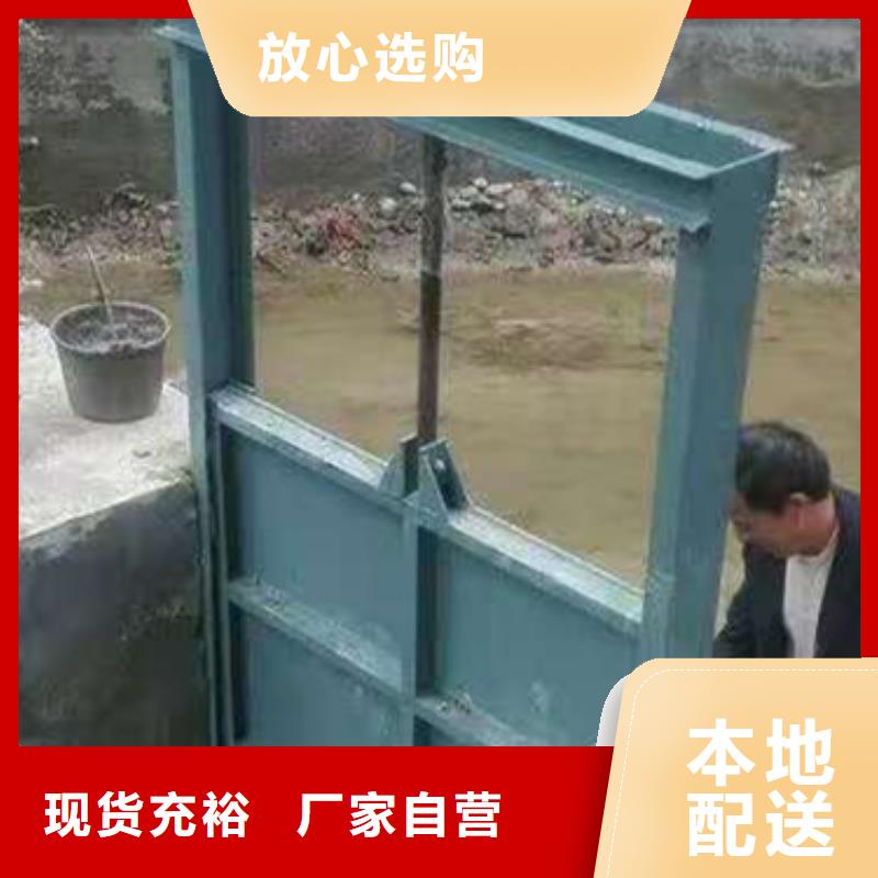 钢闸门实力工厂