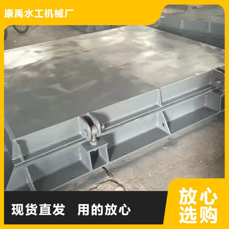 【钢闸门 卷闸门工期短发货快】