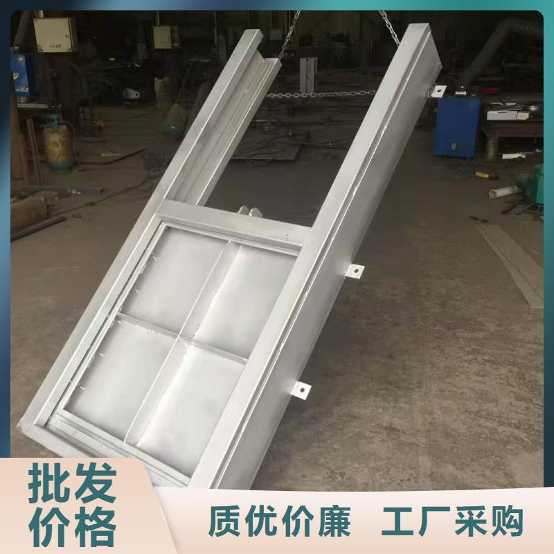 钢闸门同行低价